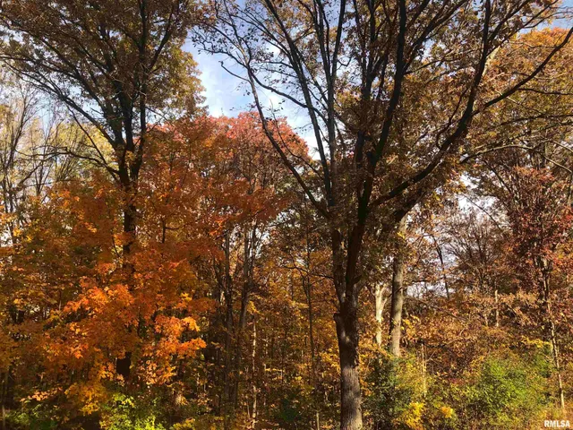 $350,000 | 2318 East Lake Shore Drive, Springfield, IL 62712