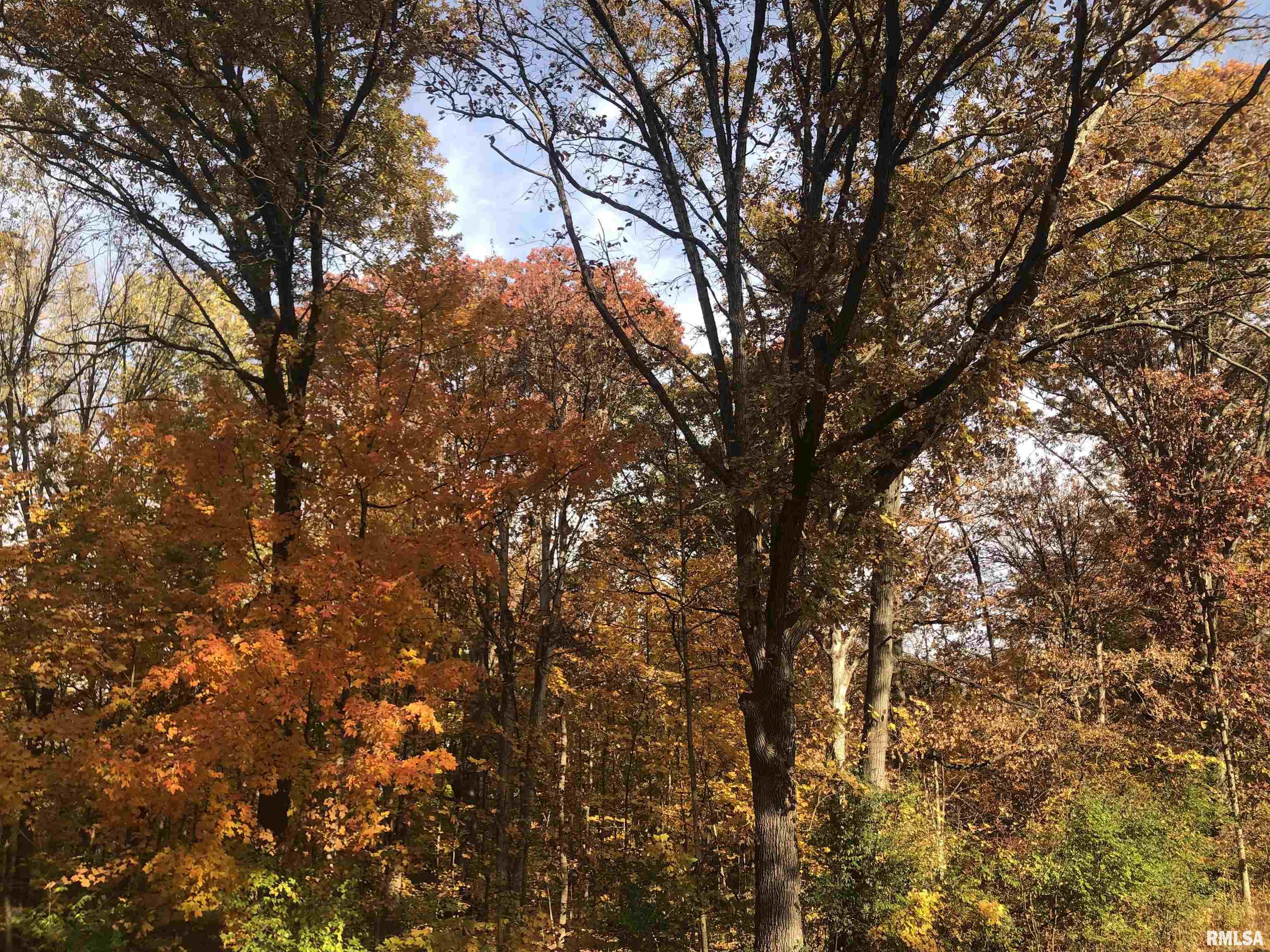 2318 East Lake Shore Drive Springfield, IL 62712 - Photo 17 of 22