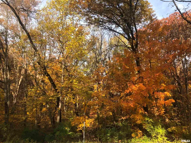 $350,000 | 2318 East Lake Shore Drive, Springfield, IL 62712