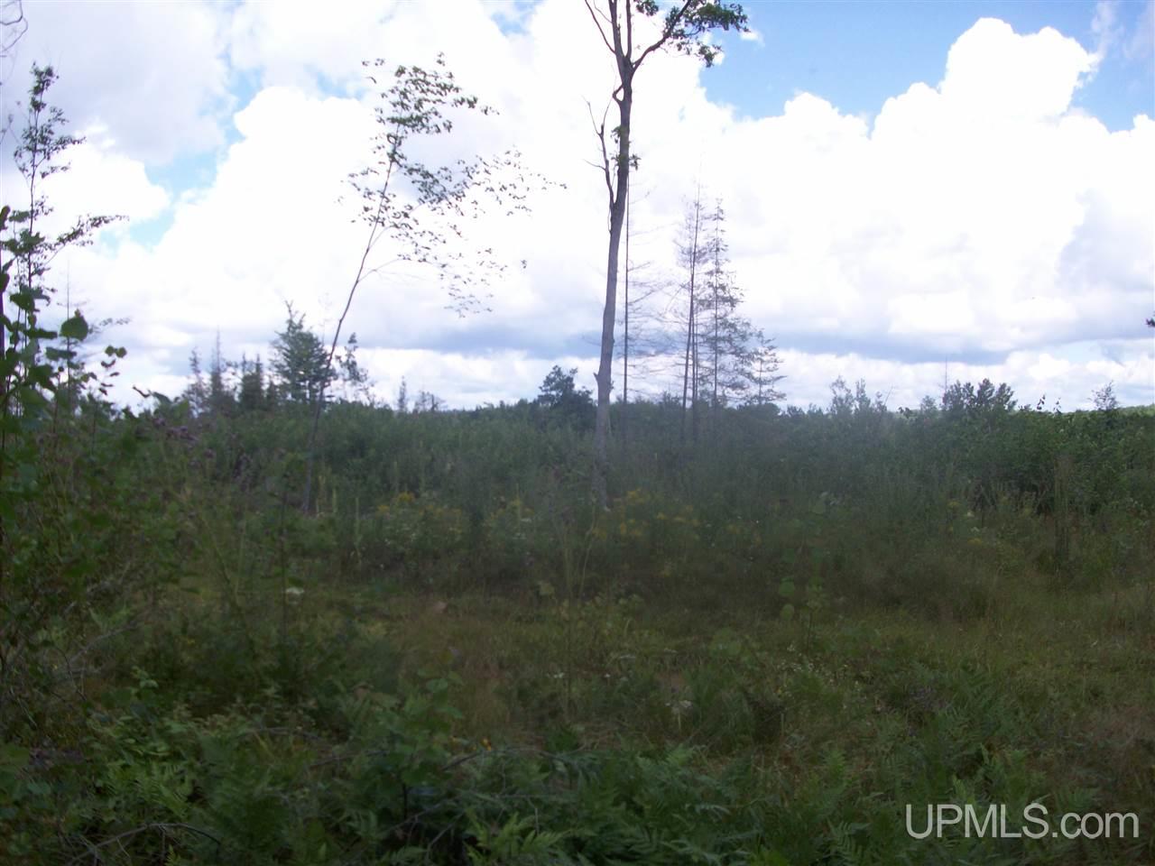 Tbd Off Co Rd 577 Carney, MI 49812 - Photo 5 of 7