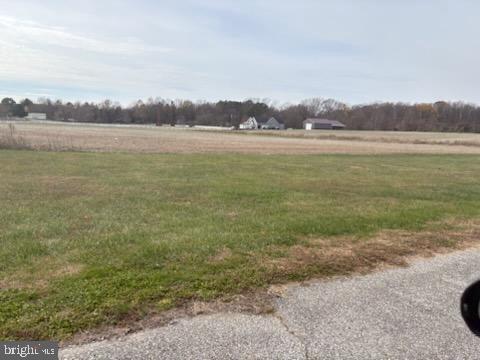 343 Thorntown Road Middletown, DE 19709 - Photo 4 of 14