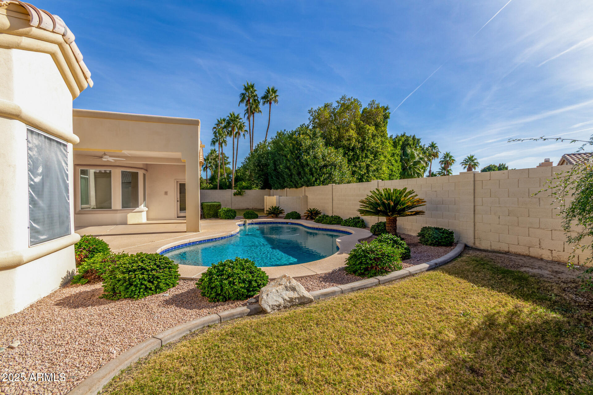3017 East Rock Wren Road Phoenix, AZ 85048 - Photo 36 of 43 Rear yard 1