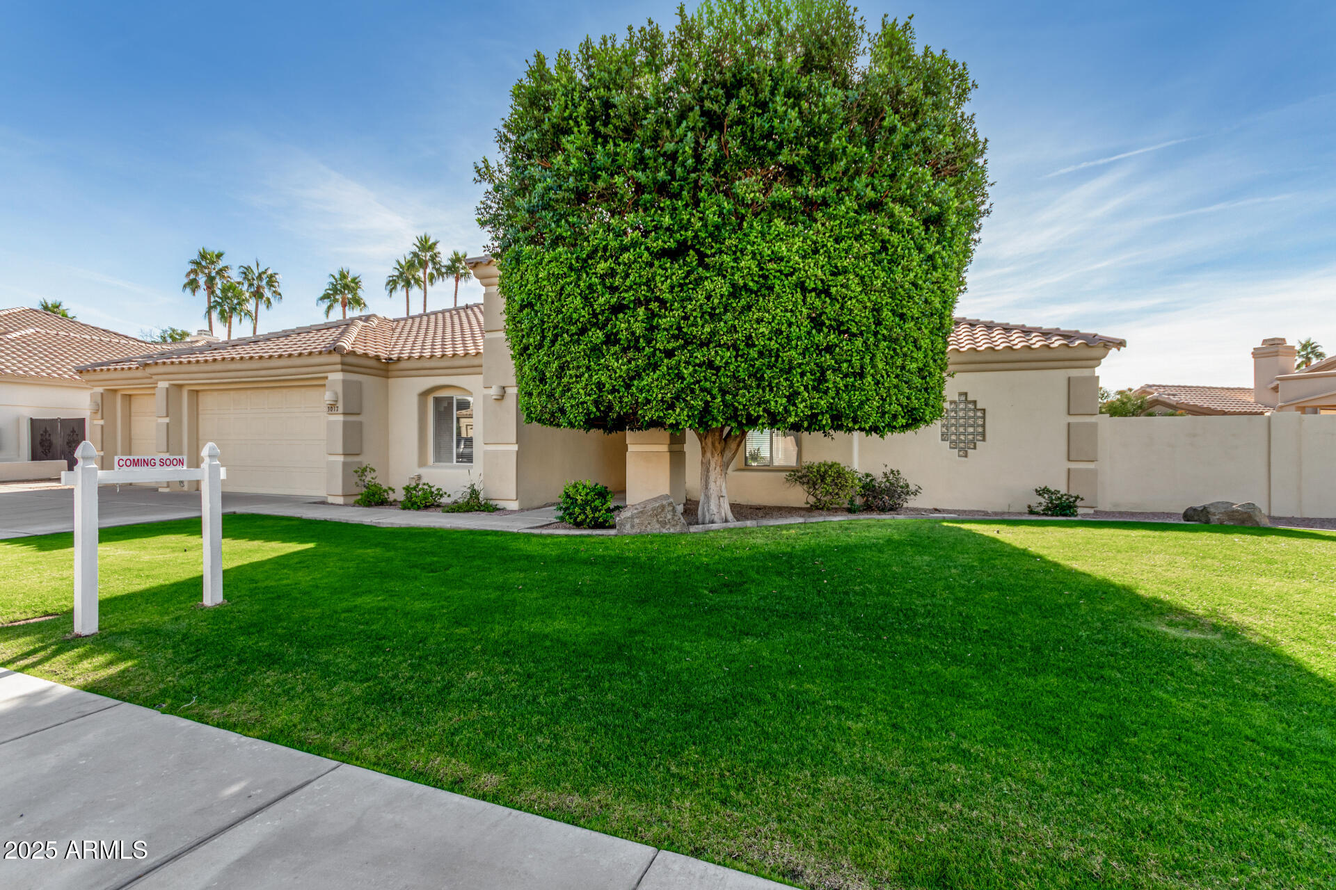 3017 East Rock Wren Road Phoenix, AZ 85048 - Photo 43 of 43 Front Yard 2