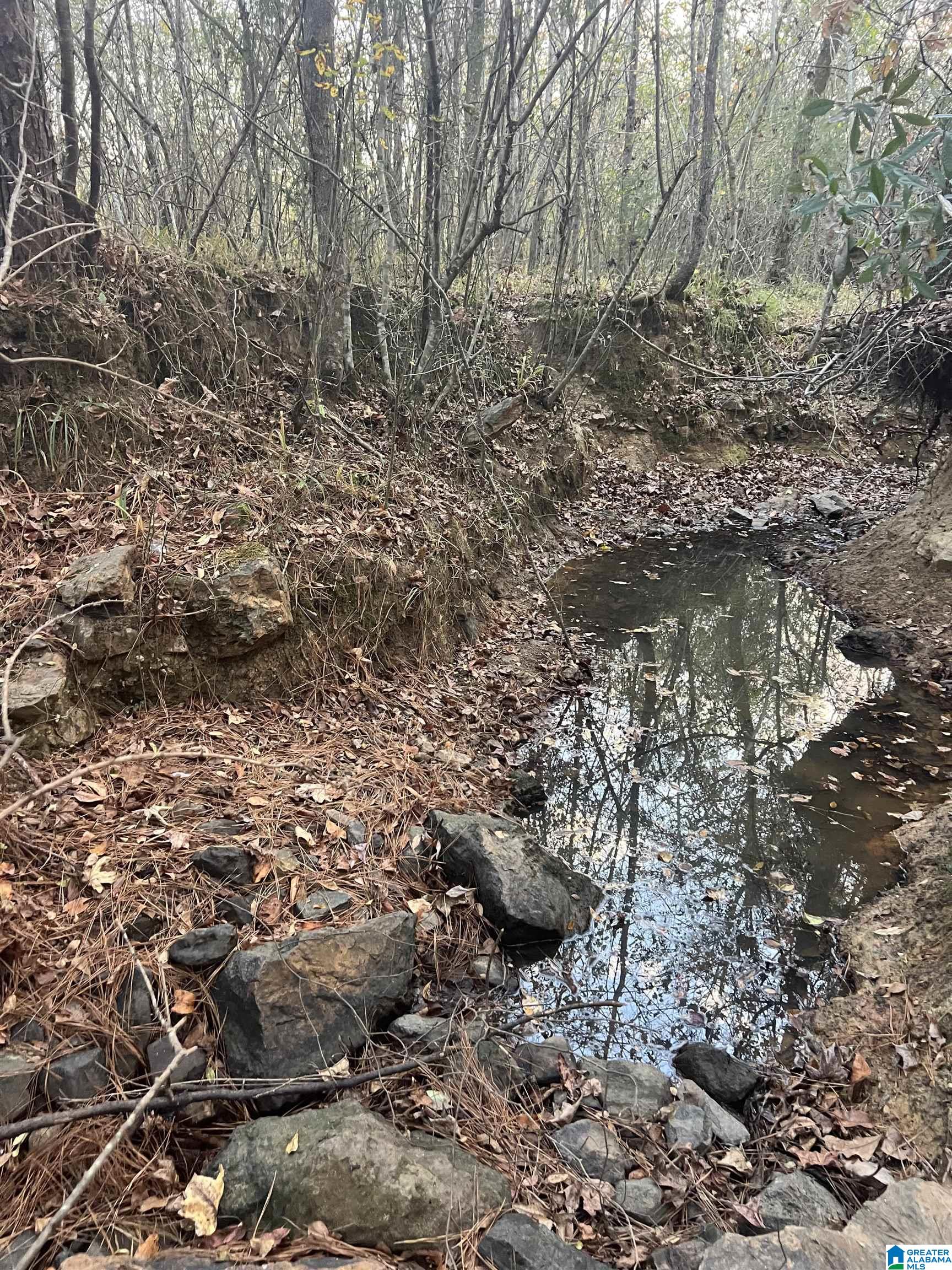 11-acres Risers Mill Road, Unit 11 ACRES Alpine, AL 35014 - Photo 22 of 23