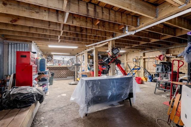 a view of a backyard with plants