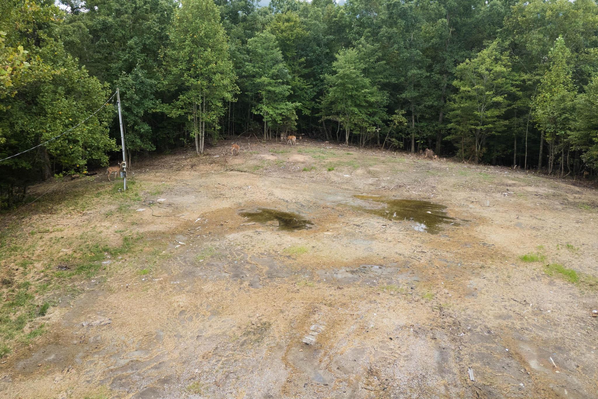 240 Nelson Branch Road Clay City, KY 40312 - Photo 13 of 23 DJI_20260818231141_0038_D