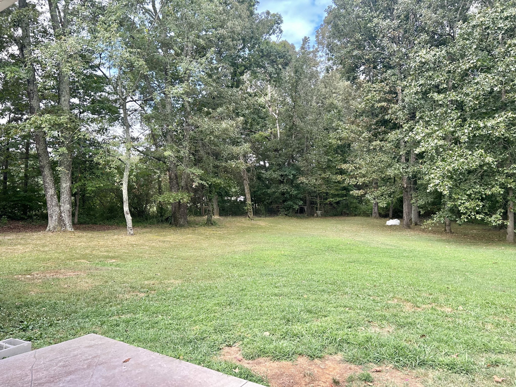 83 Rutledge Falls Road Tullahoma, TN 37388 - Photo 22 of 25 a view of a field with a trees in the background