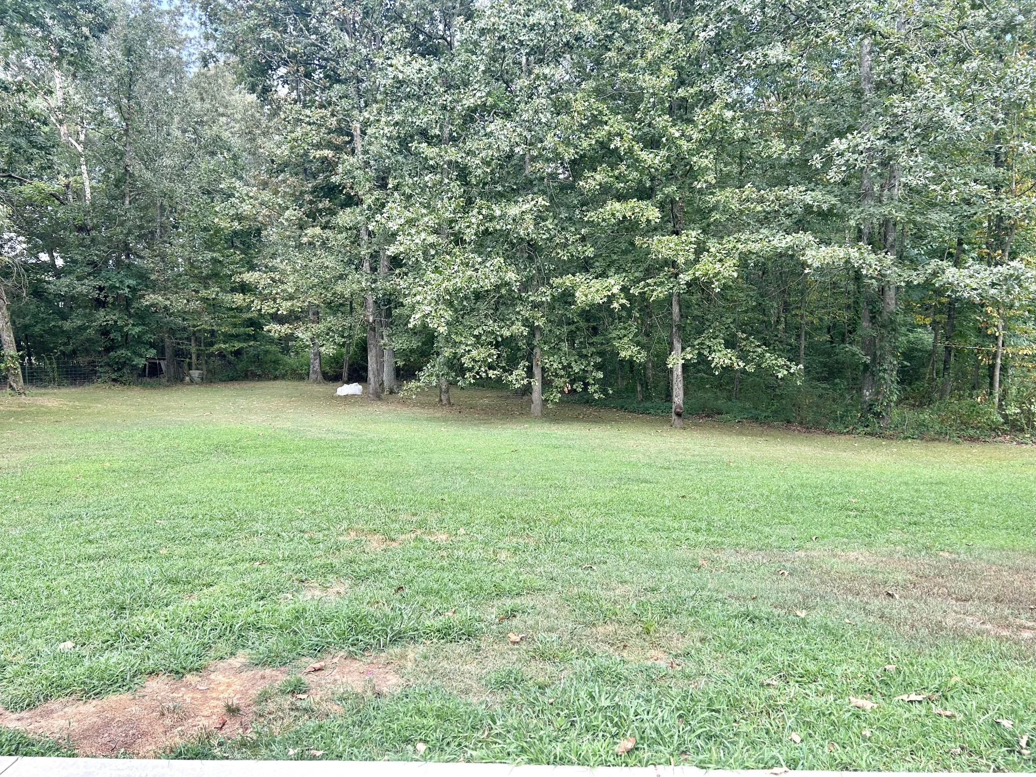 83 Rutledge Falls Road Tullahoma, TN 37388 - Photo 23 of 25 a view of a green yard