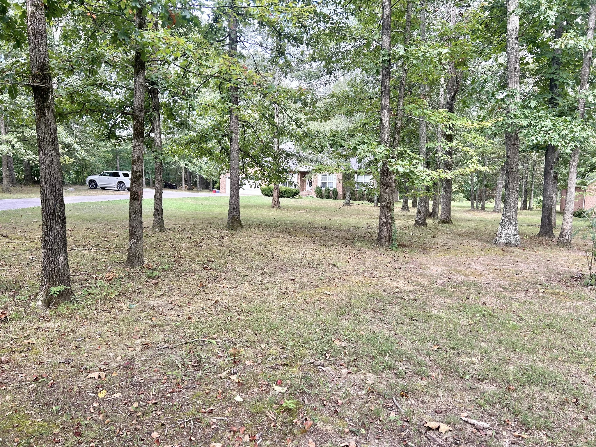 83 Rutledge Falls Road Tullahoma, TN 37388 - Photo 24 of 25 a view of a yard with a tree