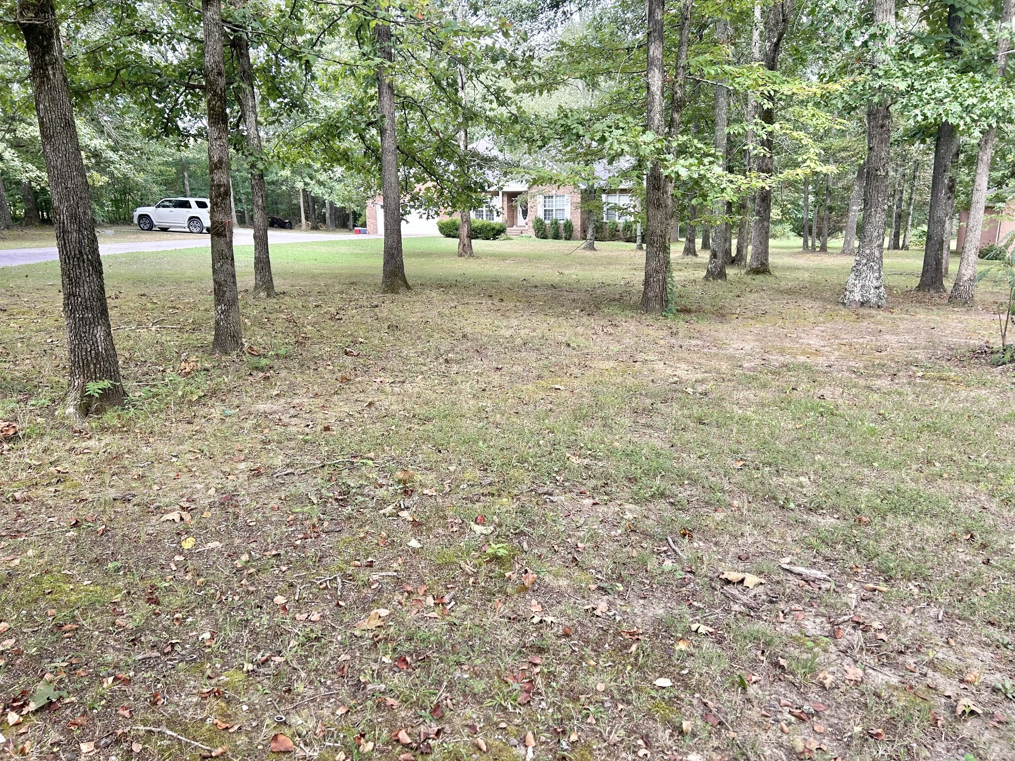 83 Rutledge Falls Road Tullahoma, TN 37388 - Photo 25 of 25 a view of a yard with a tree