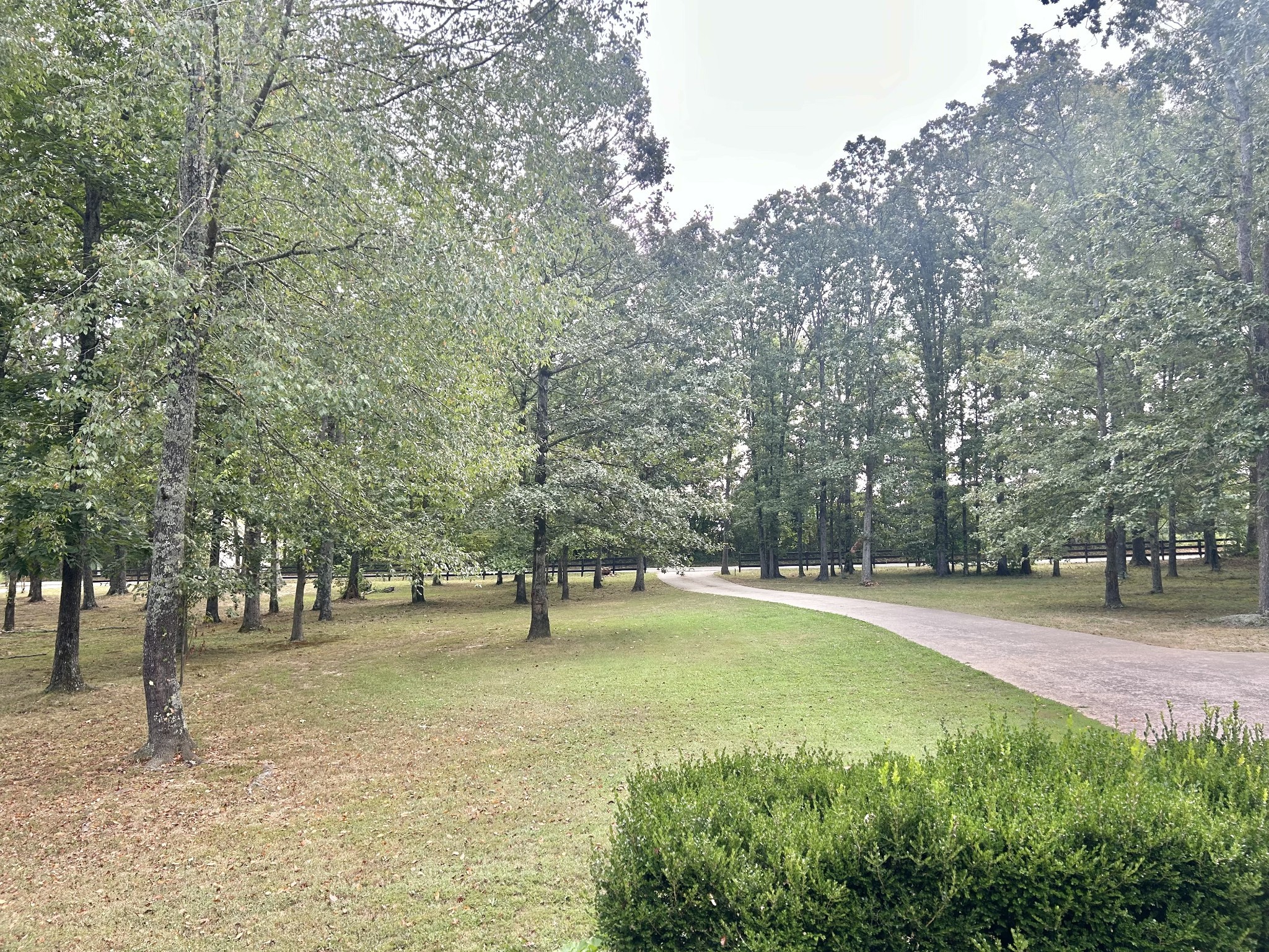 83 Rutledge Falls Road Tullahoma, TN 37388 - Photo 6 of 25 a view of a trees with yard
