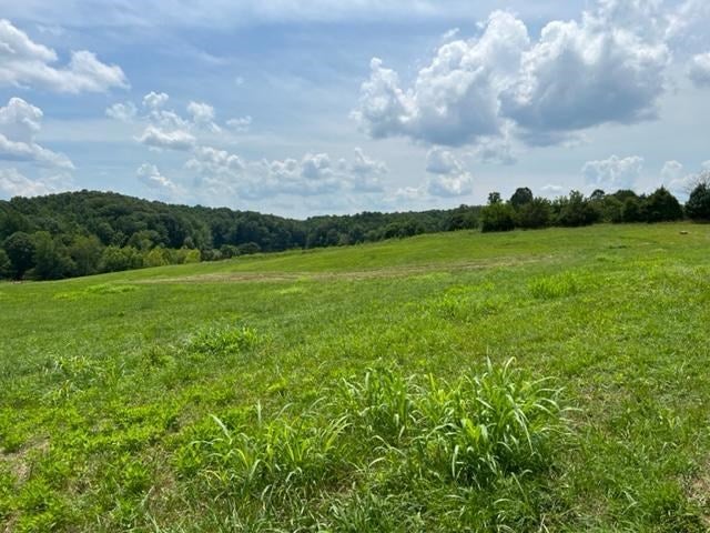 South Fork Road Appomattox, VA 24522 - Photo 3 of 5 Gallery Image 3