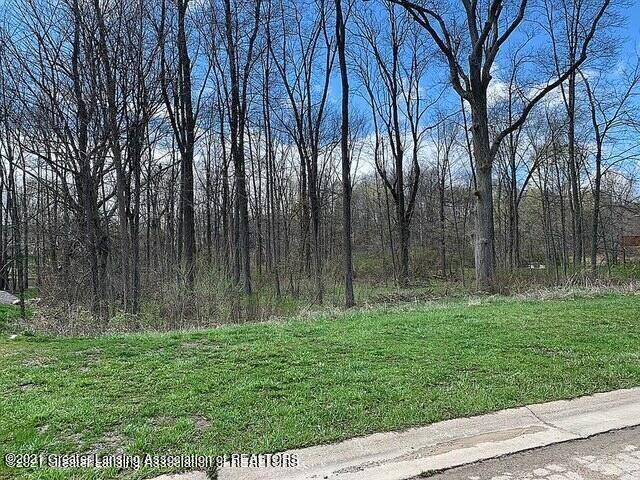 Lot 25 Dimond Way Dimondale, MI 48821 - Photo 9 of 14 20210629130337295445000000-o