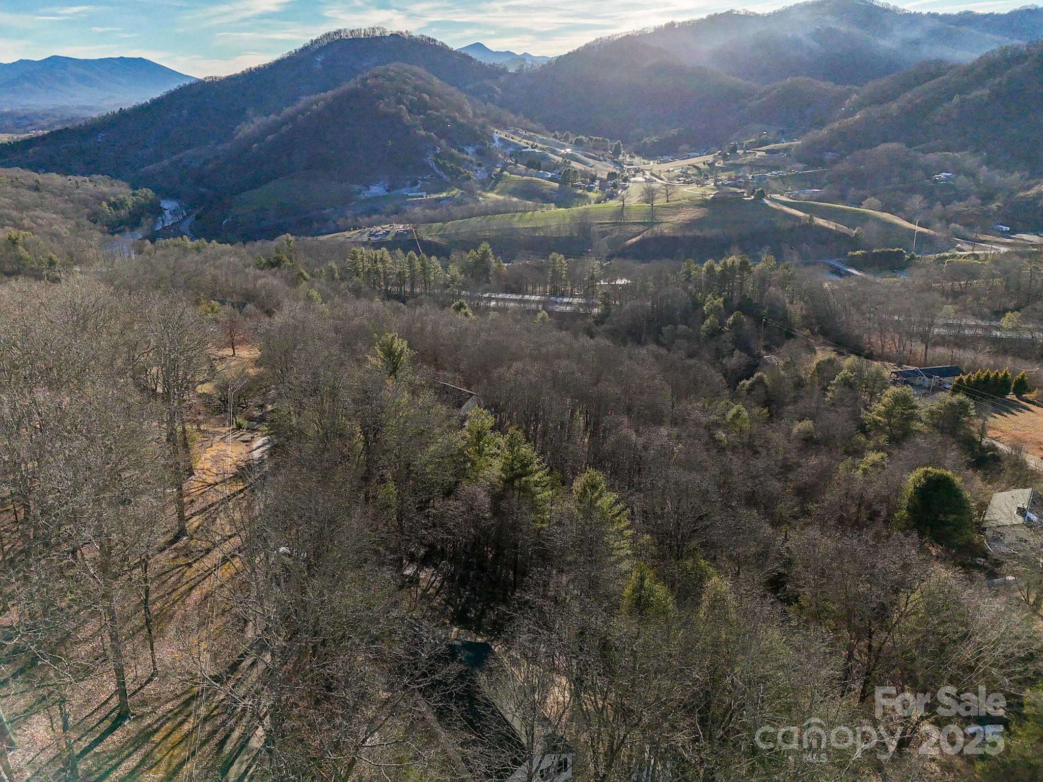 330 Peaceful Lane Clyde, NC 28721 - Photo 6 of 39 a view of mountain and a forest
