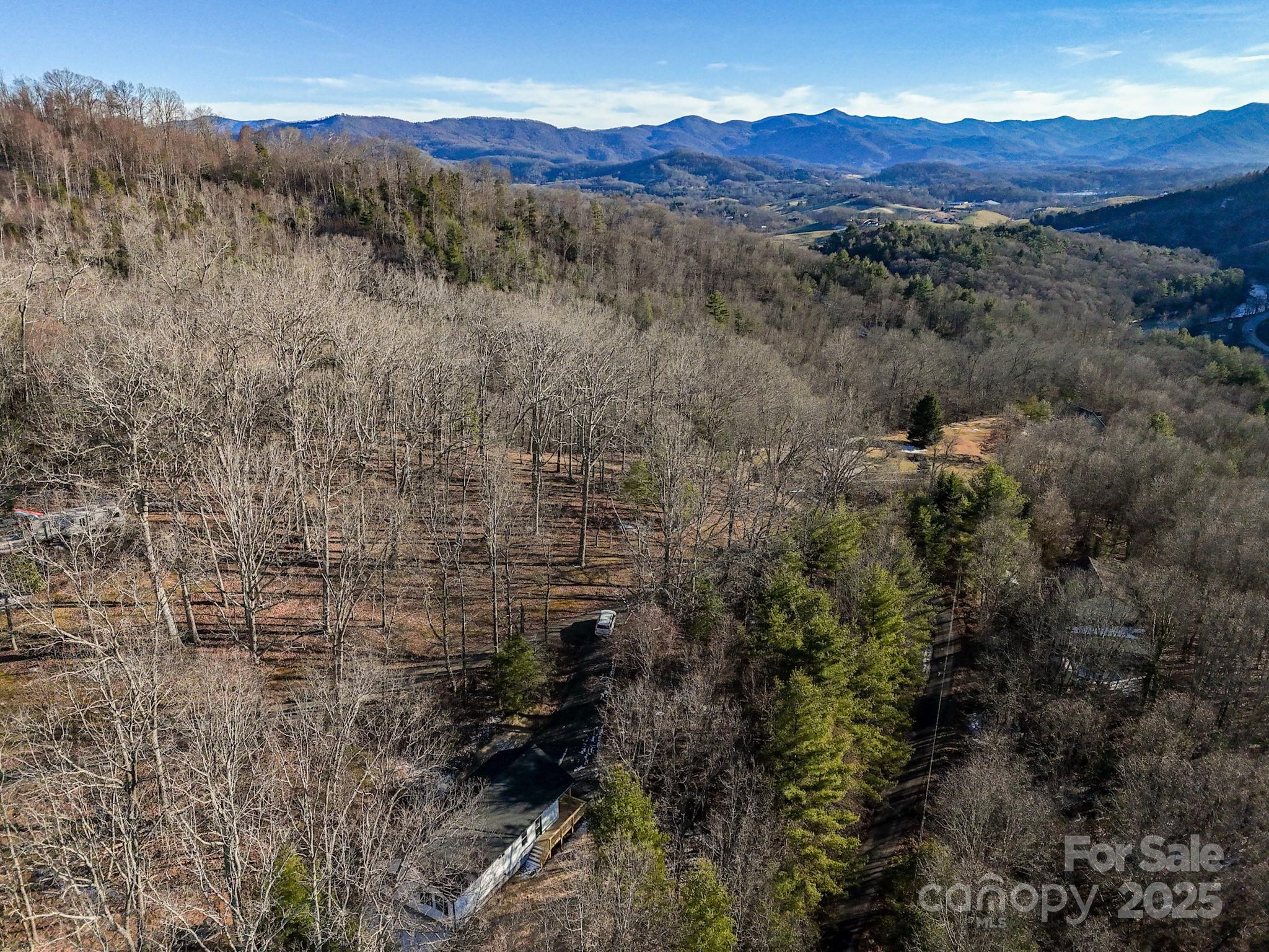 330 Peaceful Lane Clyde, NC 28721 - Photo 7 of 39 a view of a forest with mountains in the background