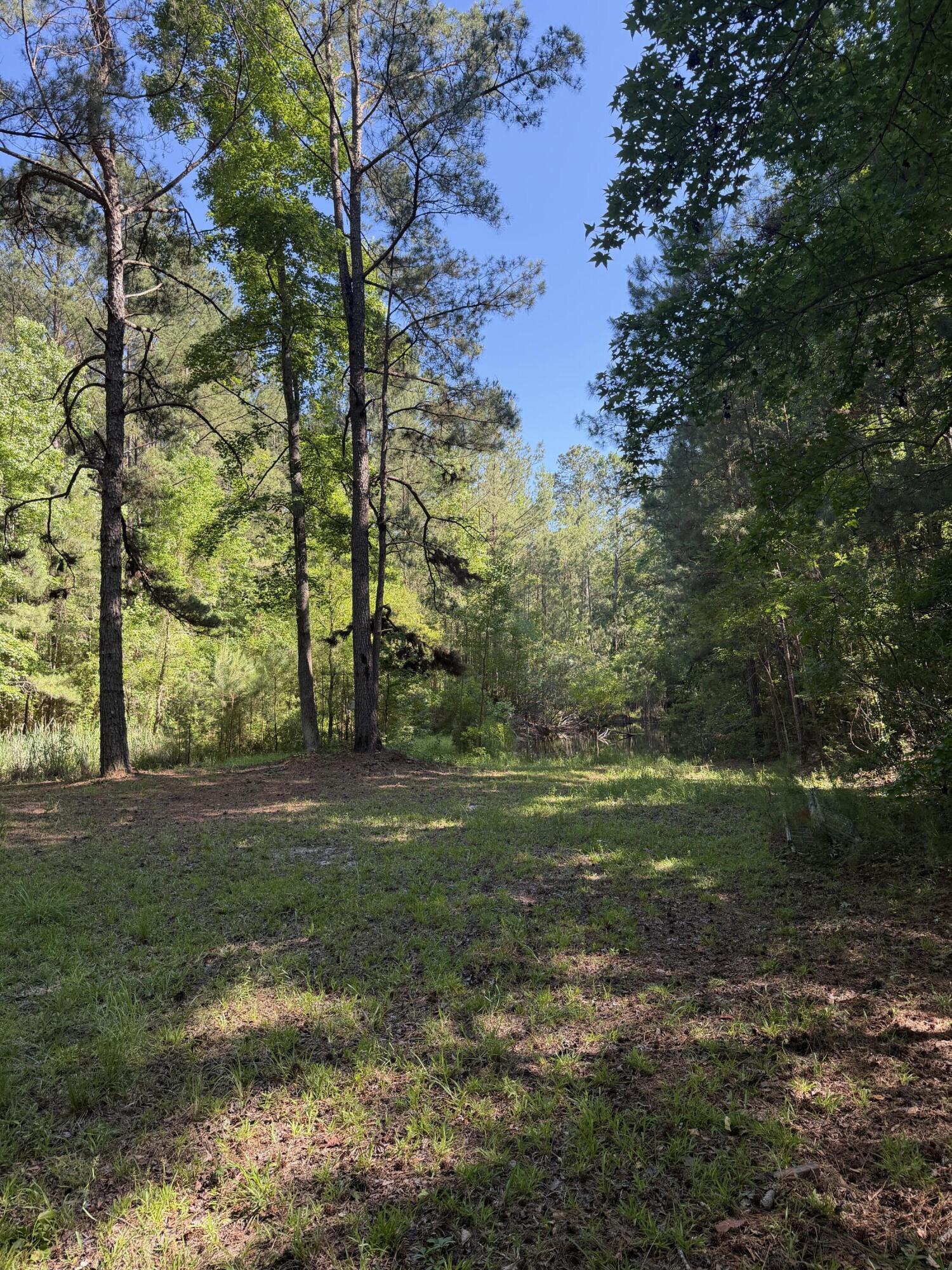 3125 State Road Ridgeville, SC 29472 - Photo 15 of 18 IMG_0958
