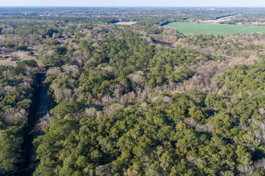 347 North Martin Street Geneva, AL 36340 - Photo 41 of 42