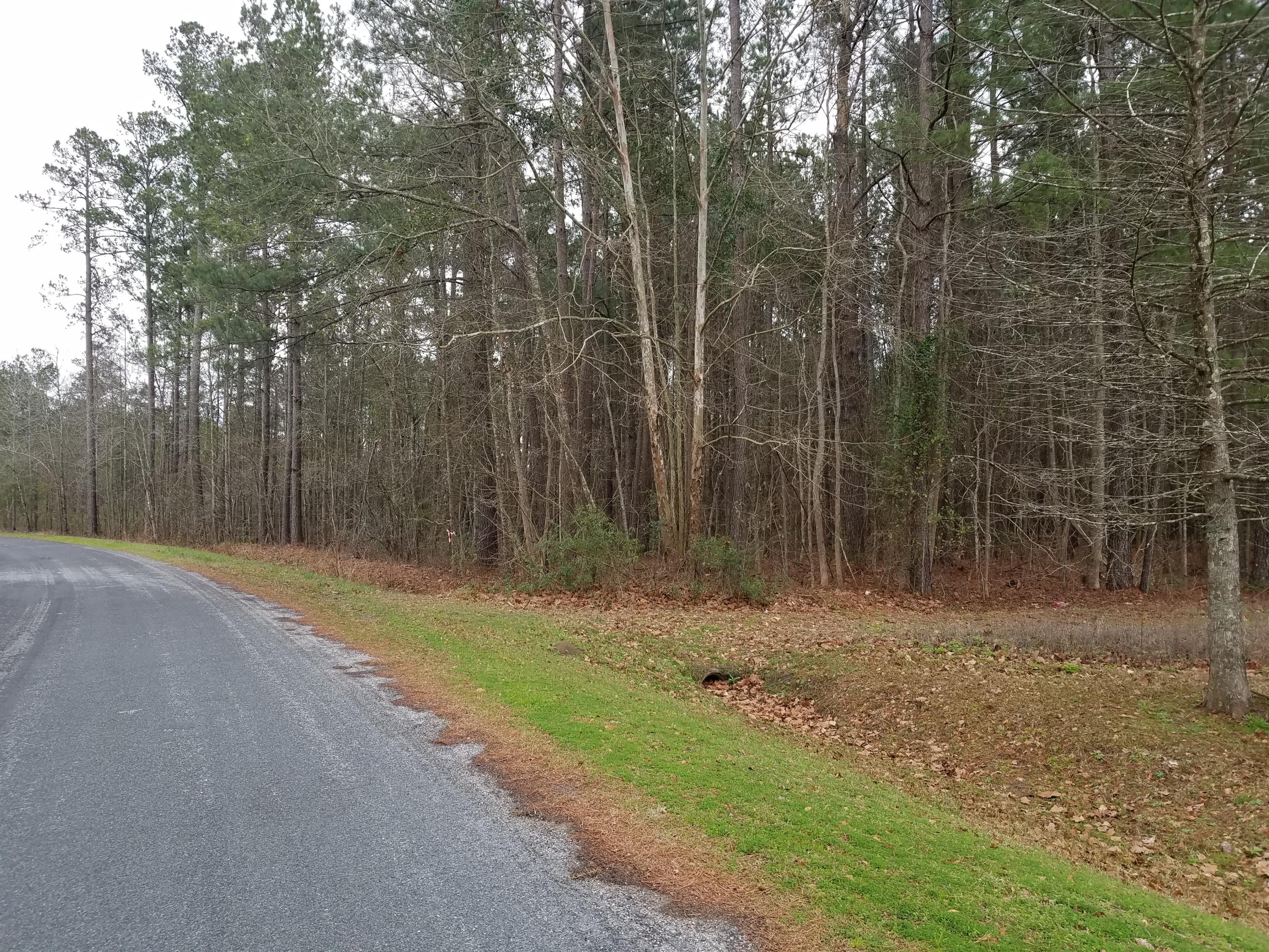 594 Gar Road Smoaks, SC 29481 - Photo 8 of 8 GAR ROAD 008