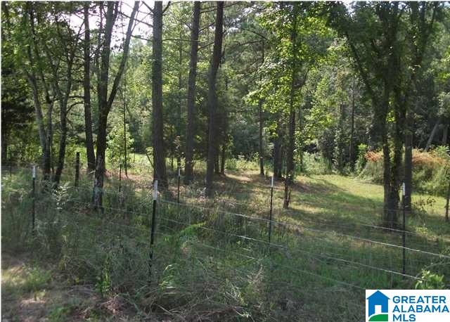 0 Collins Road Ohatchee, AL 36271 - Photo 2 of 6