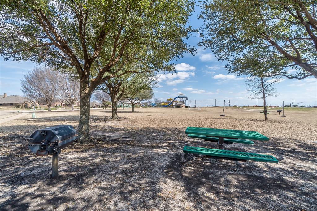 205 Crepe Myrtle Lane Murphy, TX 75094 - Photo 29 of 32