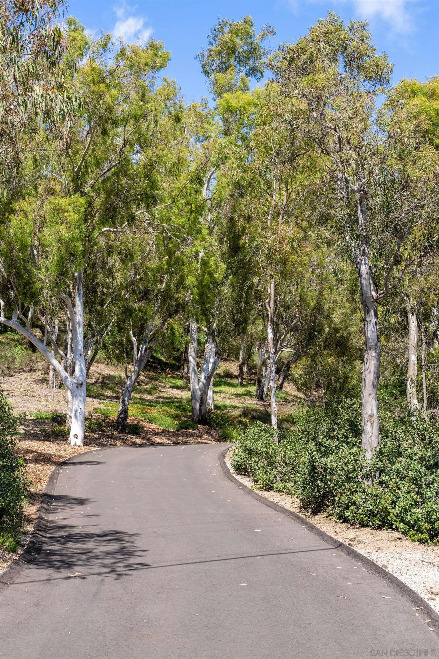 16059 Puerta Del Sol Rancho Santa Fe, CA 92067 - Photo 2 of 25 a view of path and trees