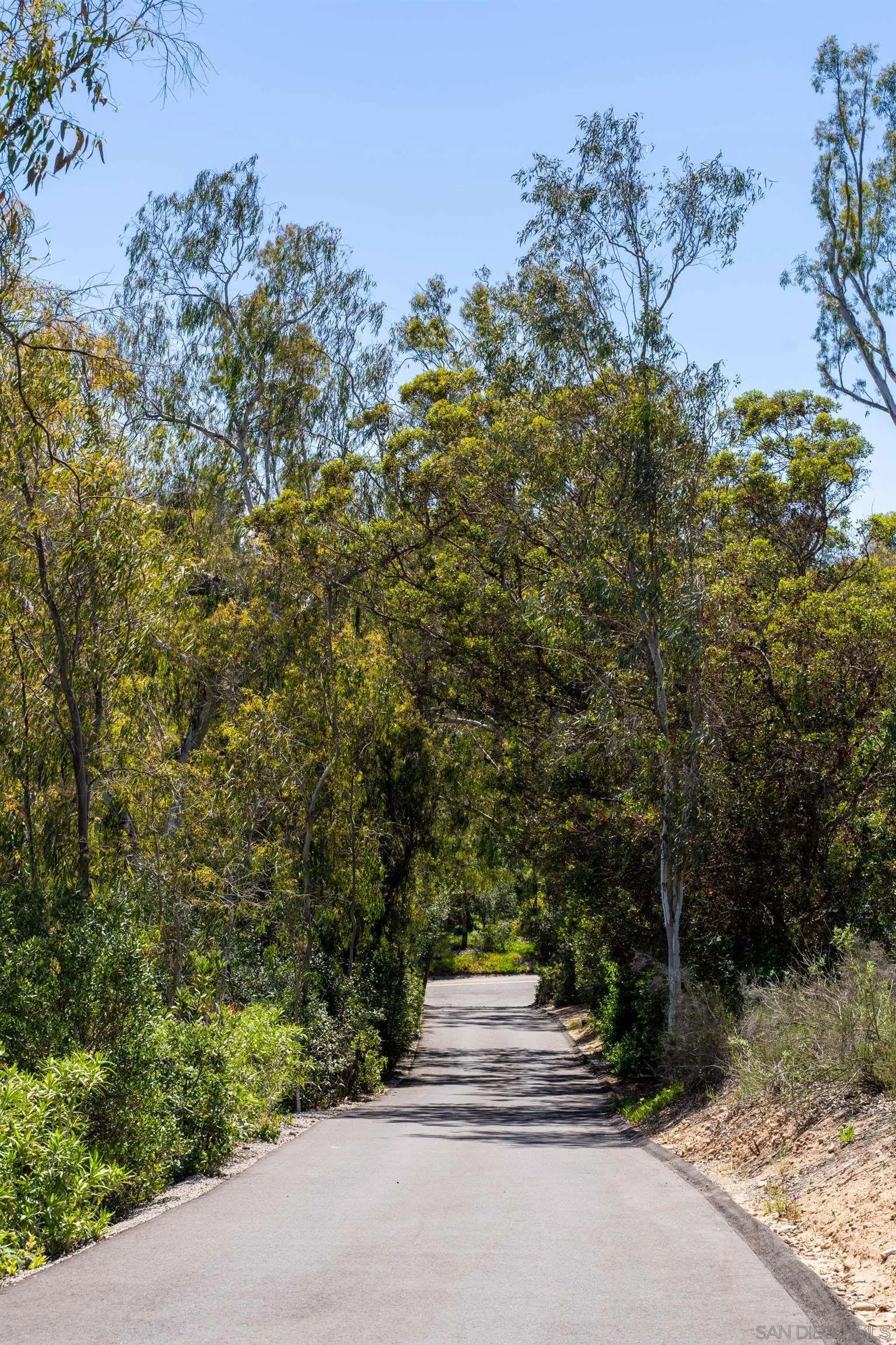 16059 Puerta Del Sol Rancho Santa Fe, CA 92067 - Photo 22 of 25 a pathway of a yard