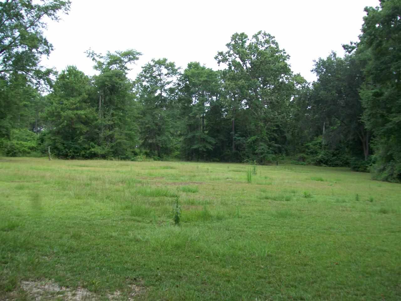 3967 Mt Pleasant Road Quincy, FL 32352 - Photo 21 of 23 Gallery Image 21