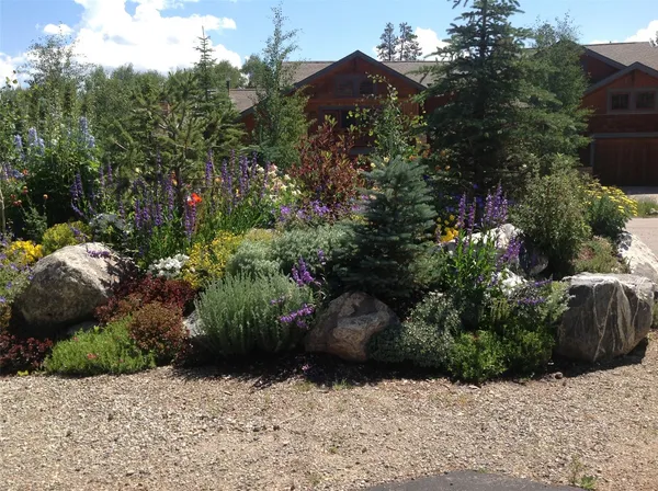 a view of a garden with pathway