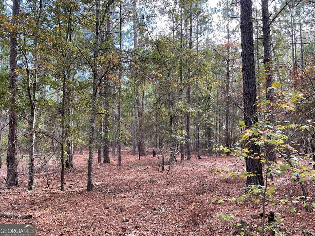 0 Powers Road Eastman, GA 31023 - Photo 1 of 1 Main View