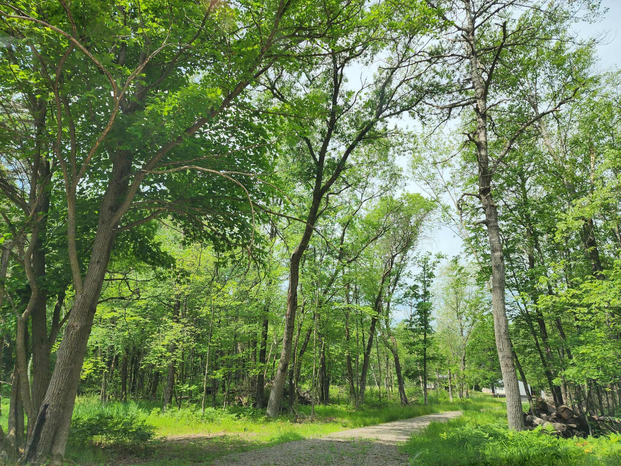 2284 15th Drive Friendship, WI 53934 - Photo 1 of 21