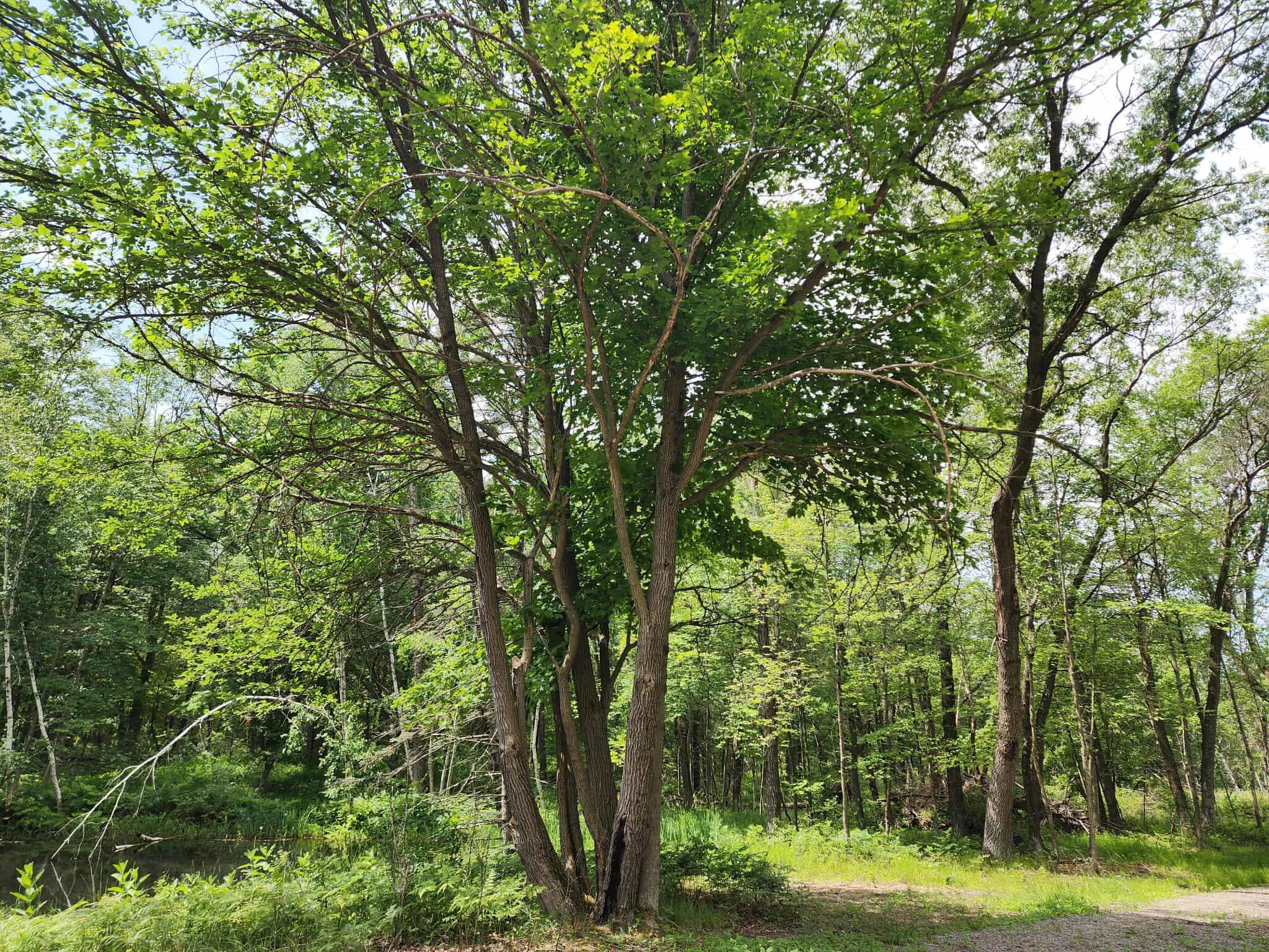 2284 15th Drive Friendship, WI 53934 - Photo 12 of 21