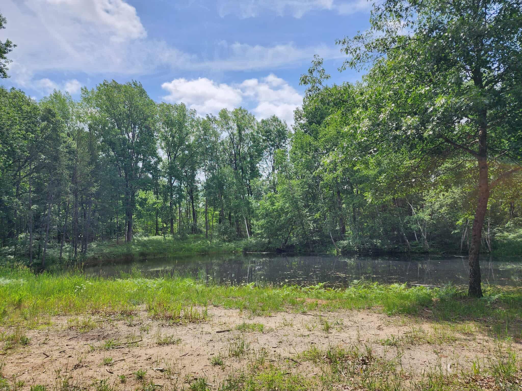 2284 15th Drive Friendship, WI 53934 - Photo 13 of 21