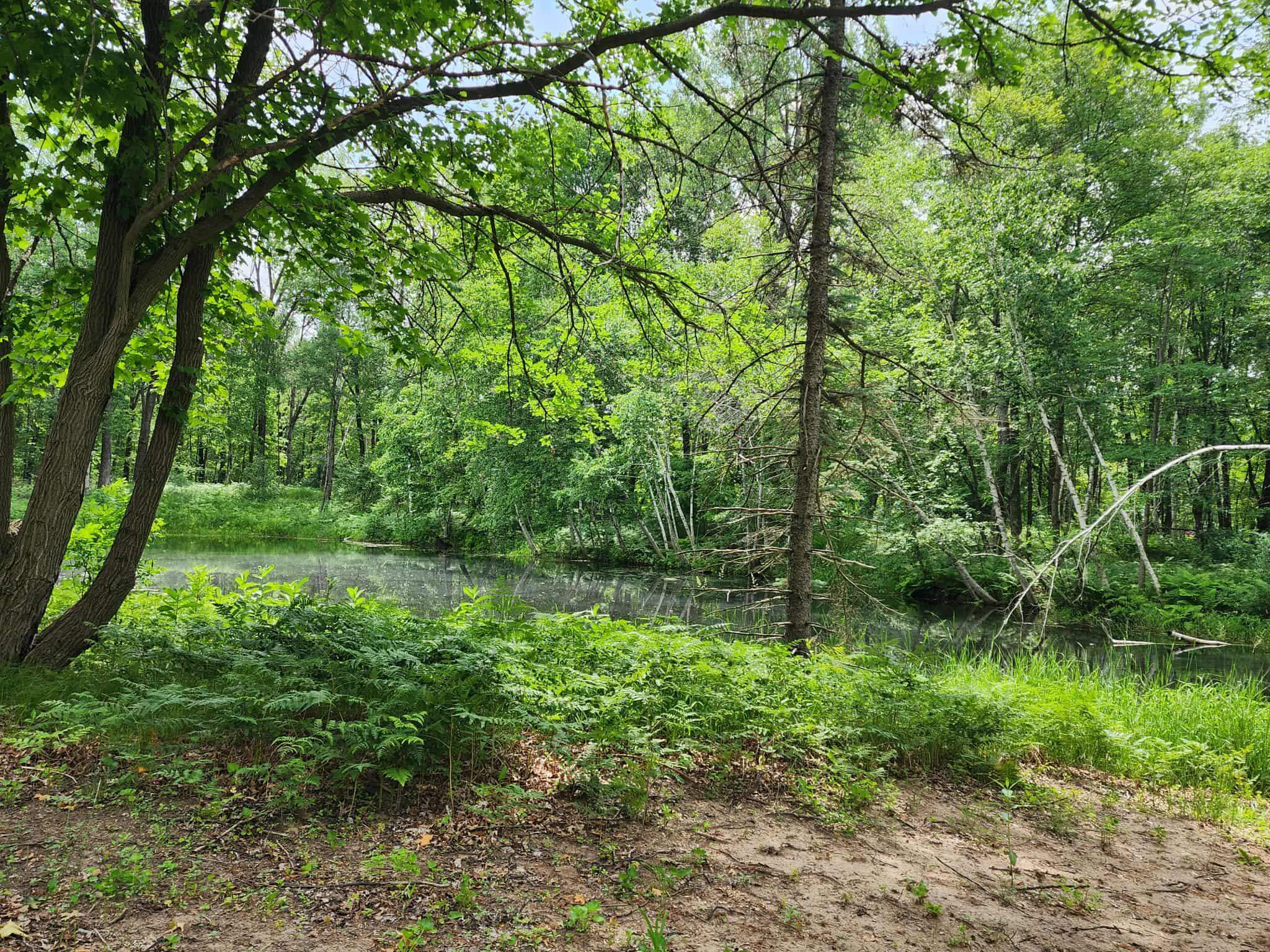 2284 15th Drive Friendship, WI 53934 - Photo 14 of 21