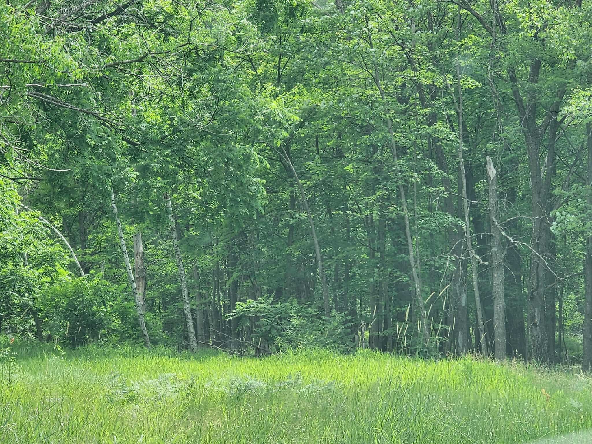 2284 15th Drive Friendship, WI 53934 - Photo 16 of 21