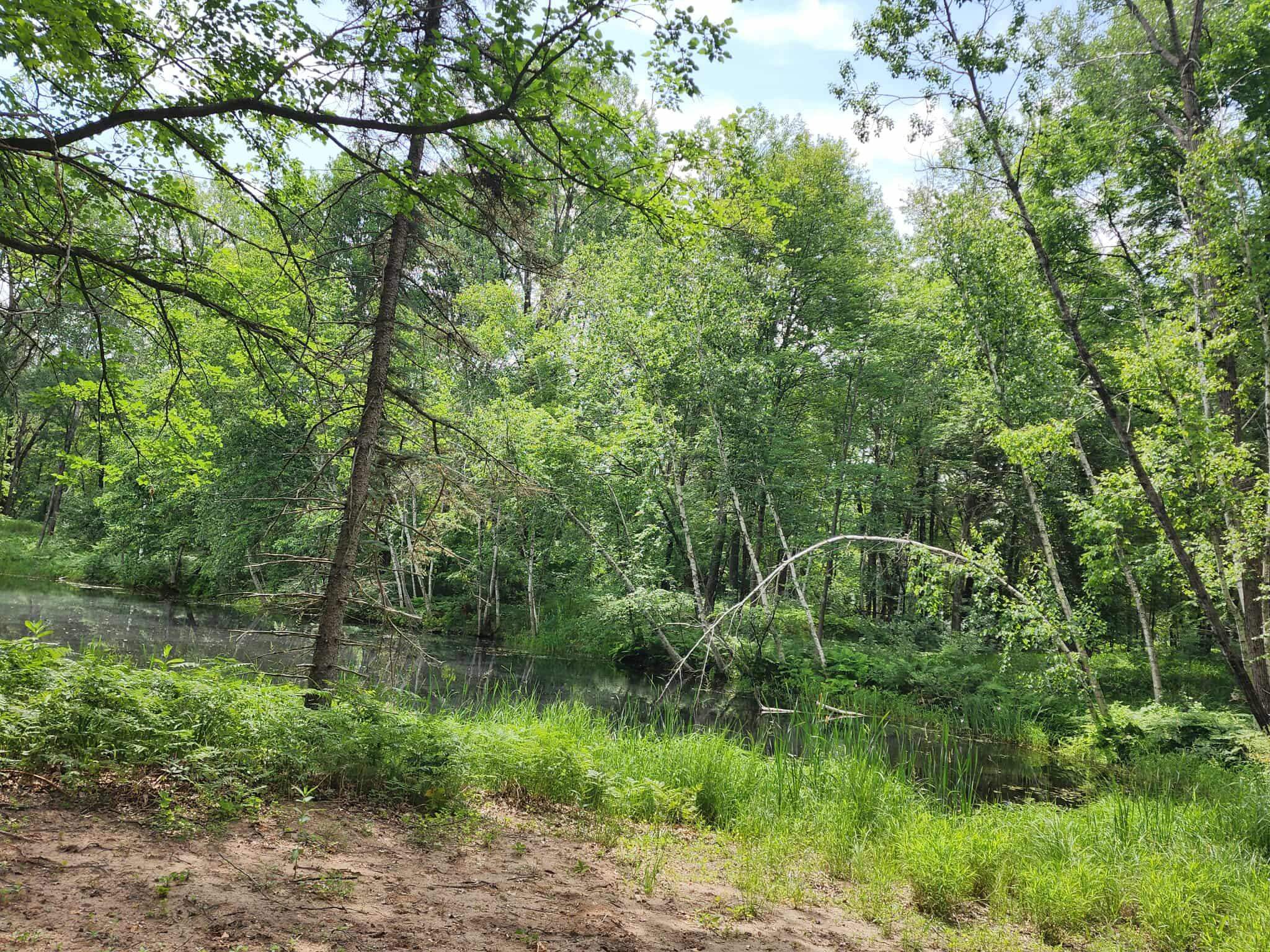 2284 15th Drive Friendship, WI 53934 - Photo 19 of 21