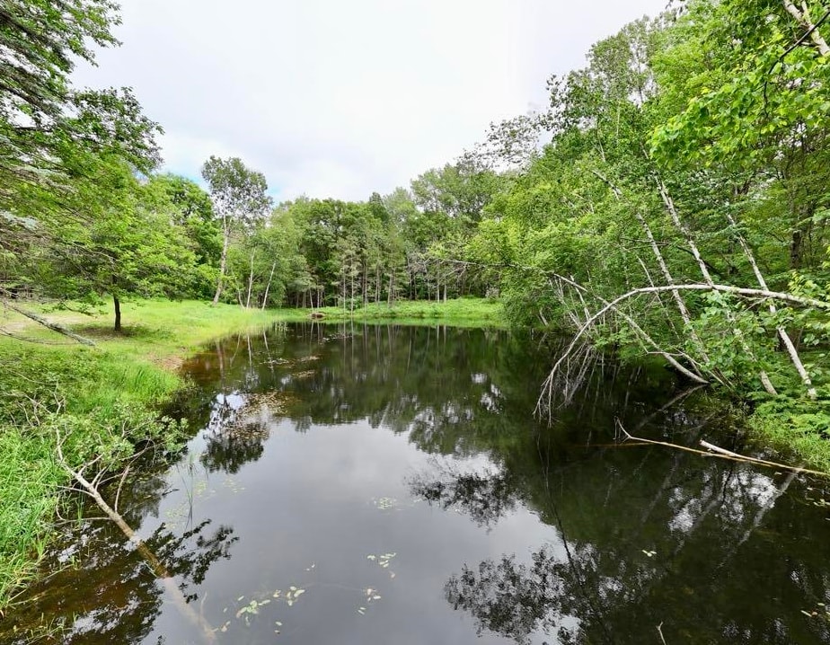 2284 15th Drive Friendship, WI 53934 - Photo 20 of 21