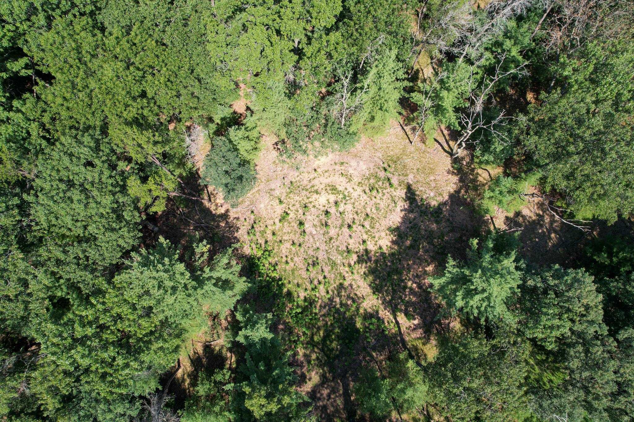 L15 Czech Friendship, WI 53934 - Photo 12 of 28