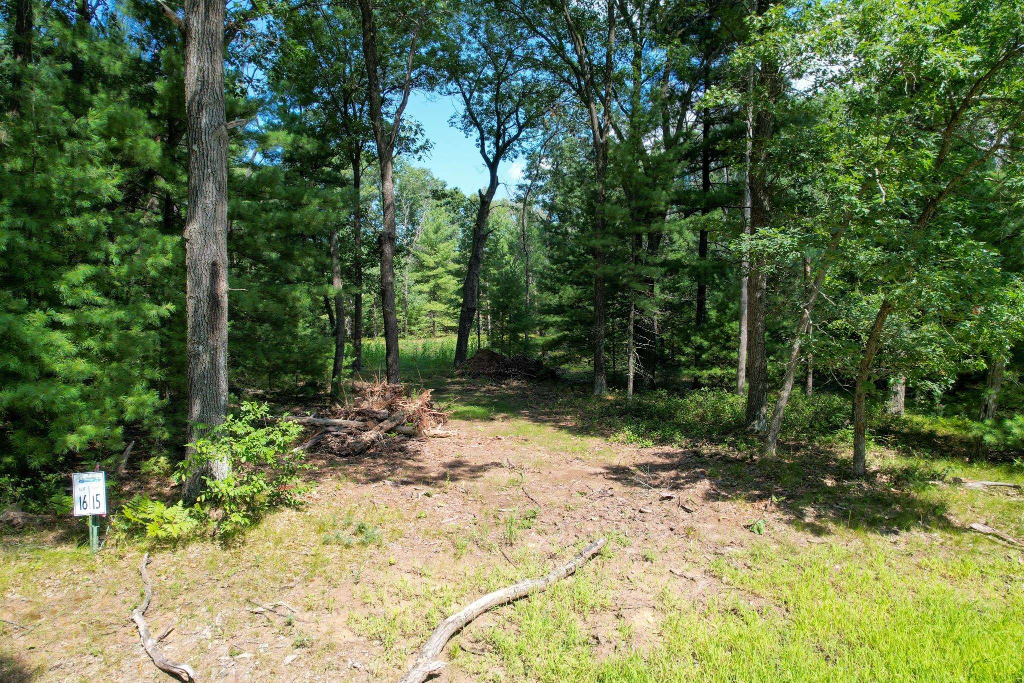 L15 Czech Friendship, WI 53934 - Photo 4 of 28