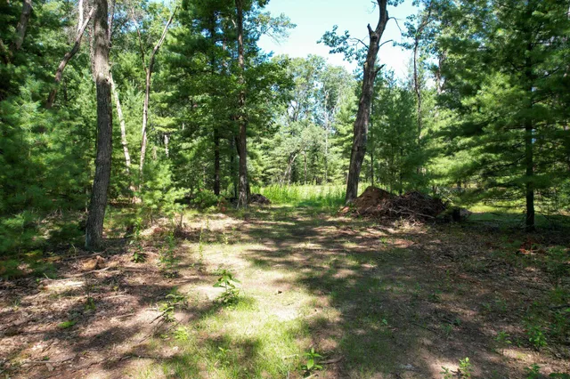 $19,000 | L15 Czech, Friendship, WI 53934