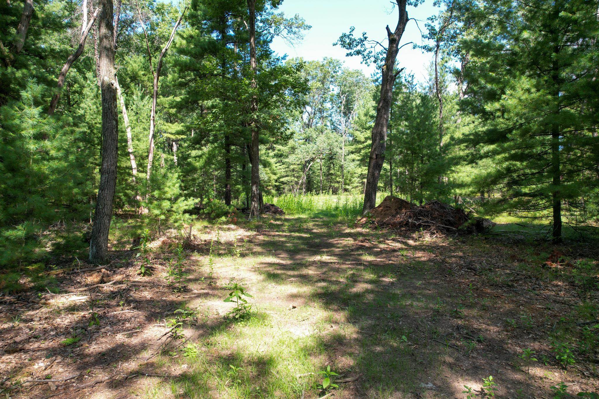 L15 Czech Friendship, WI 53934 - Photo 7 of 28