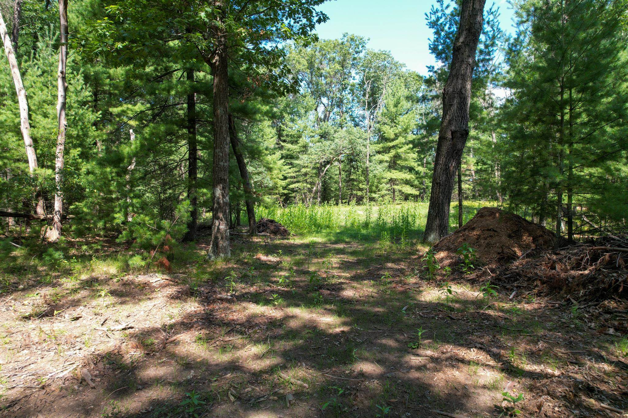 L15 Czech Friendship, WI 53934 - Photo 8 of 28