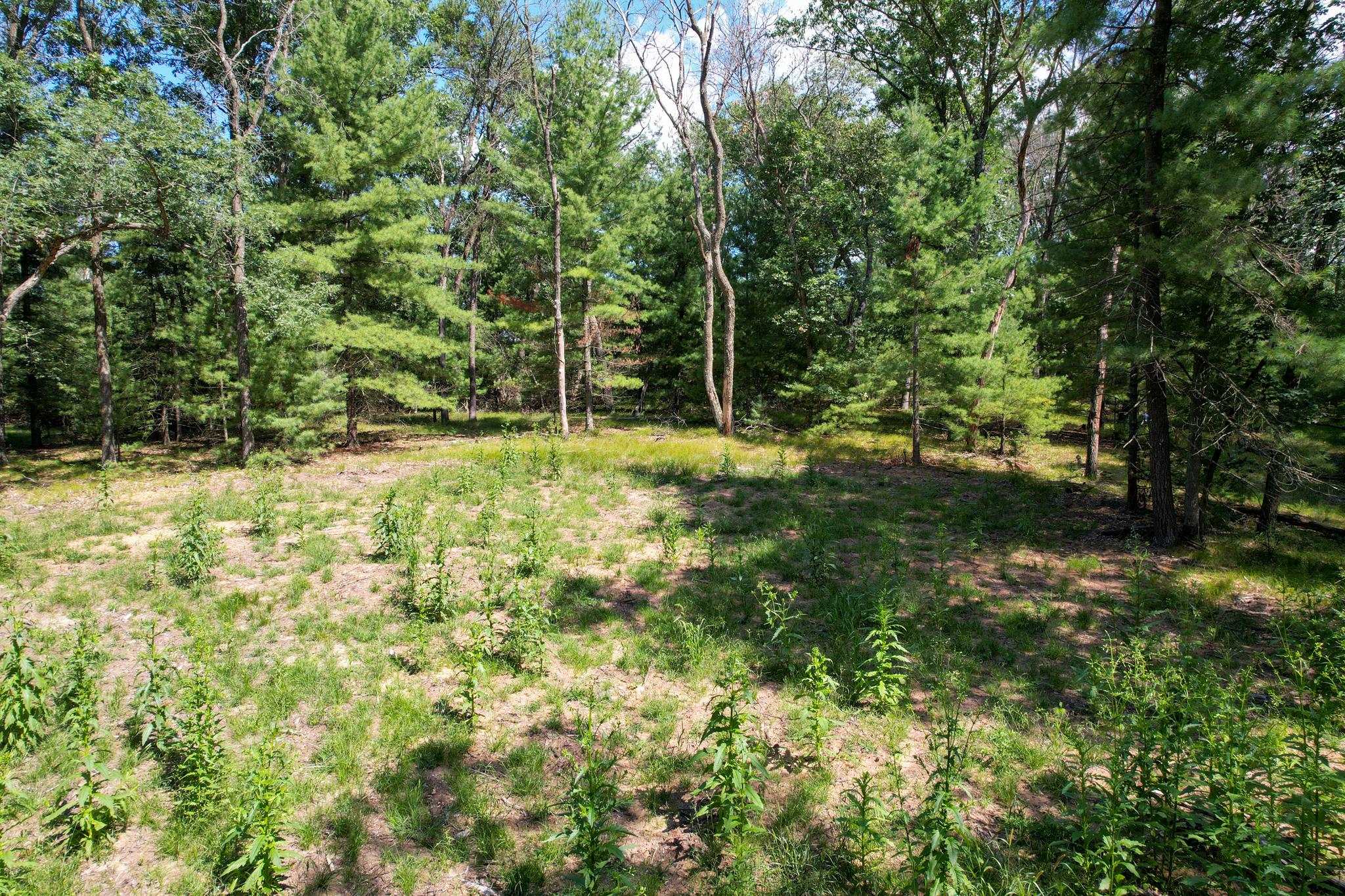 L15 Czech Friendship, WI 53934 - Photo 10 of 28