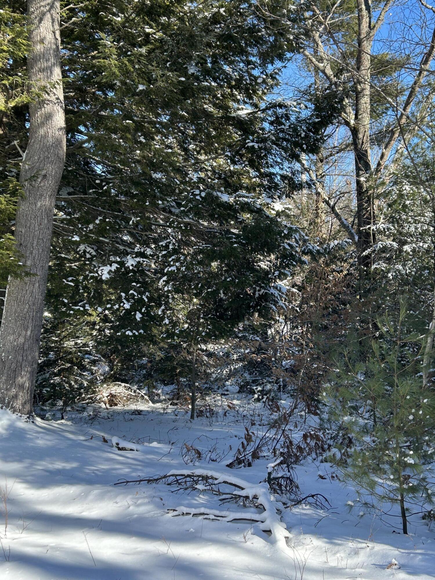 0 Collinsbrook Road Brunswick, ME 04011 - Photo 6 of 12 0 Collinsbrook Road