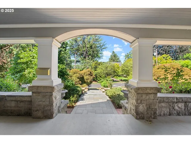 a close up of a plant