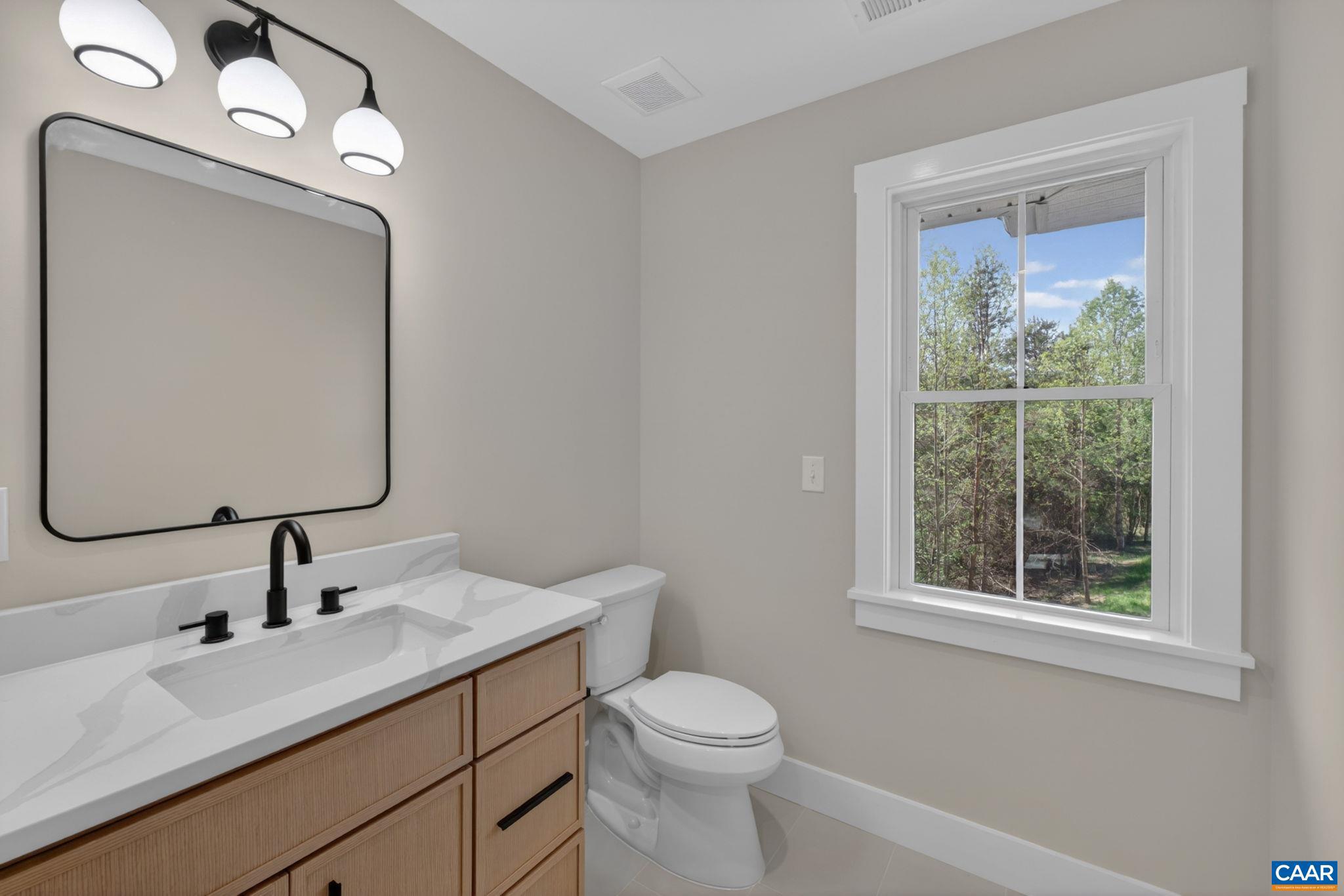 236 Palmer Place Ruckersville, VA 22968 - Photo 48 of 65 a bathroom with a toilet sink and mirror