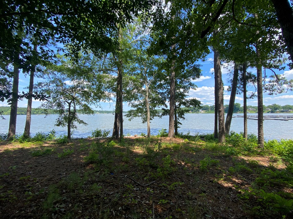113 Long Point Road Hodges, SC 29653 - Photo 8 of 31