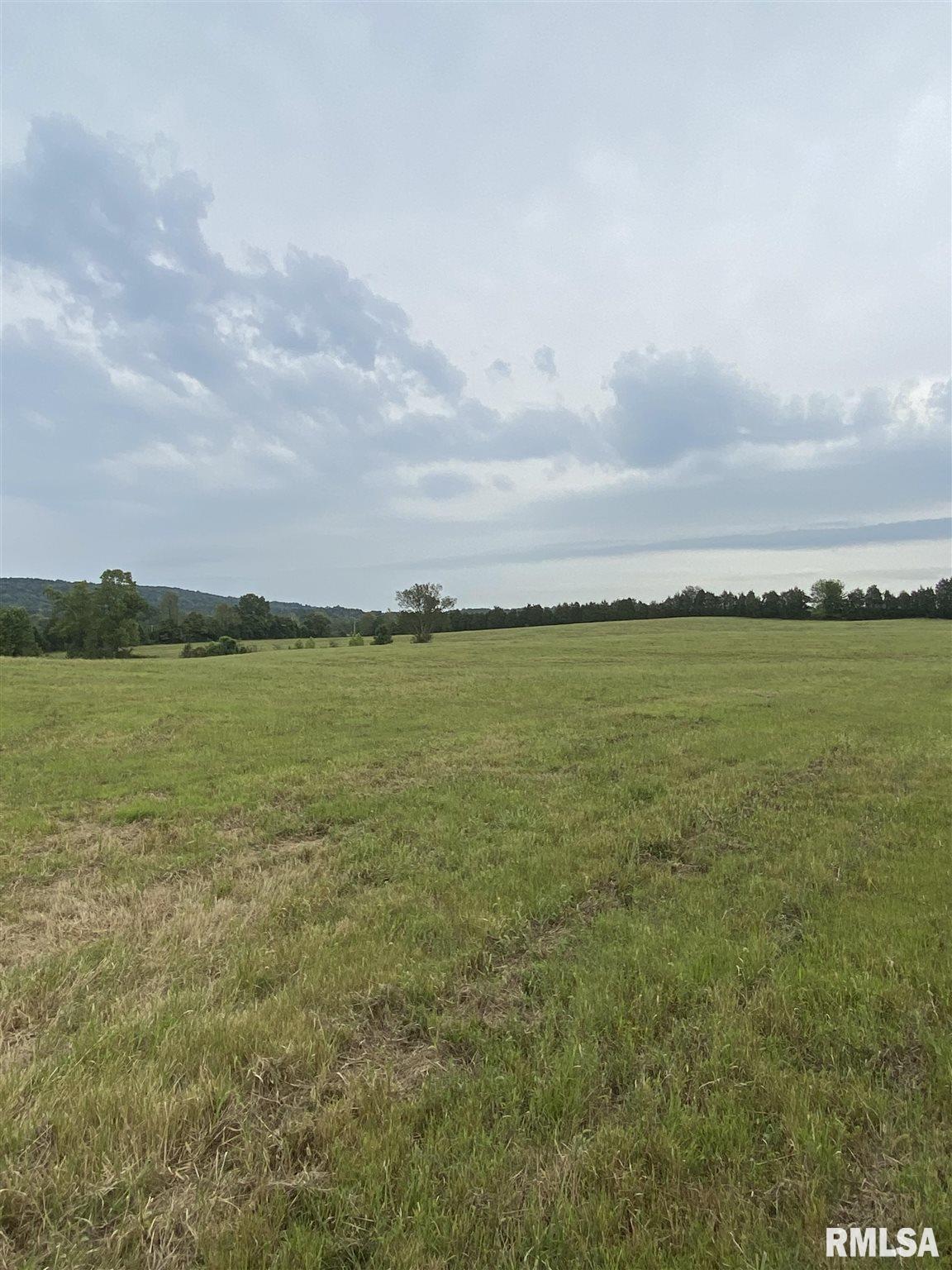 0 Coon Hunters Road Golconda, IL 62938 - Photo 4 of 6 Gallery Image 4
