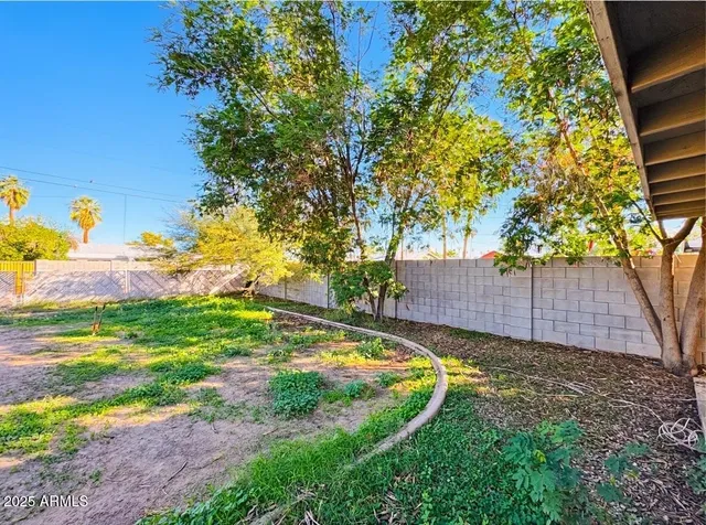 a view of a backyard with a small cabin