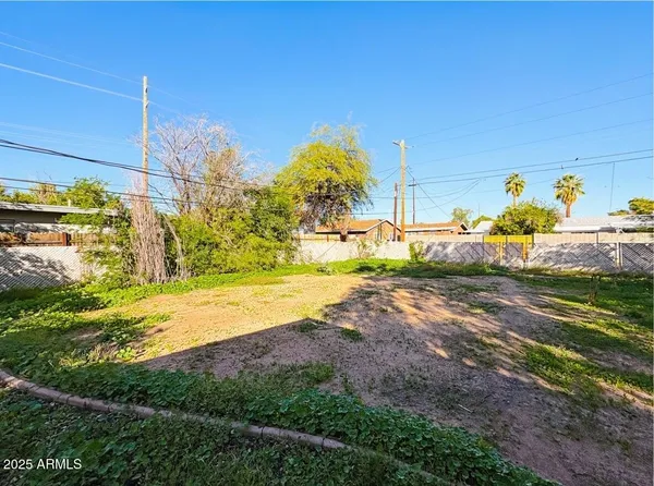 a view of a yard