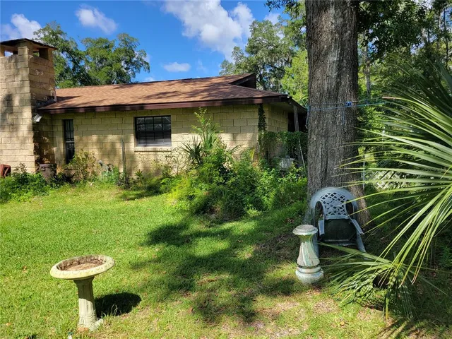 a view of a garden with plants and large trees